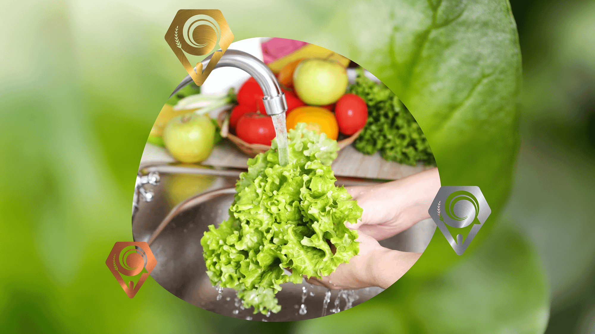 ضدعفونی کننده میوه و سبزیجات